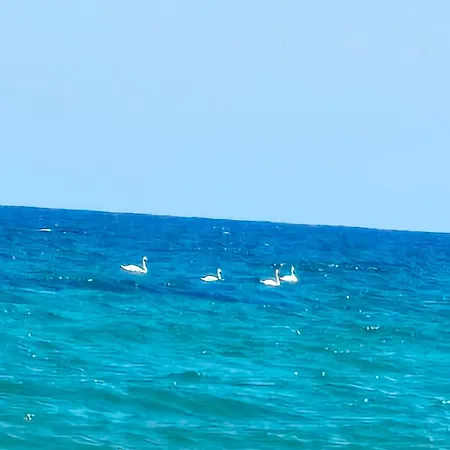 Kasndra Byala (Varna)