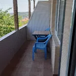 Kasndra ביאלה